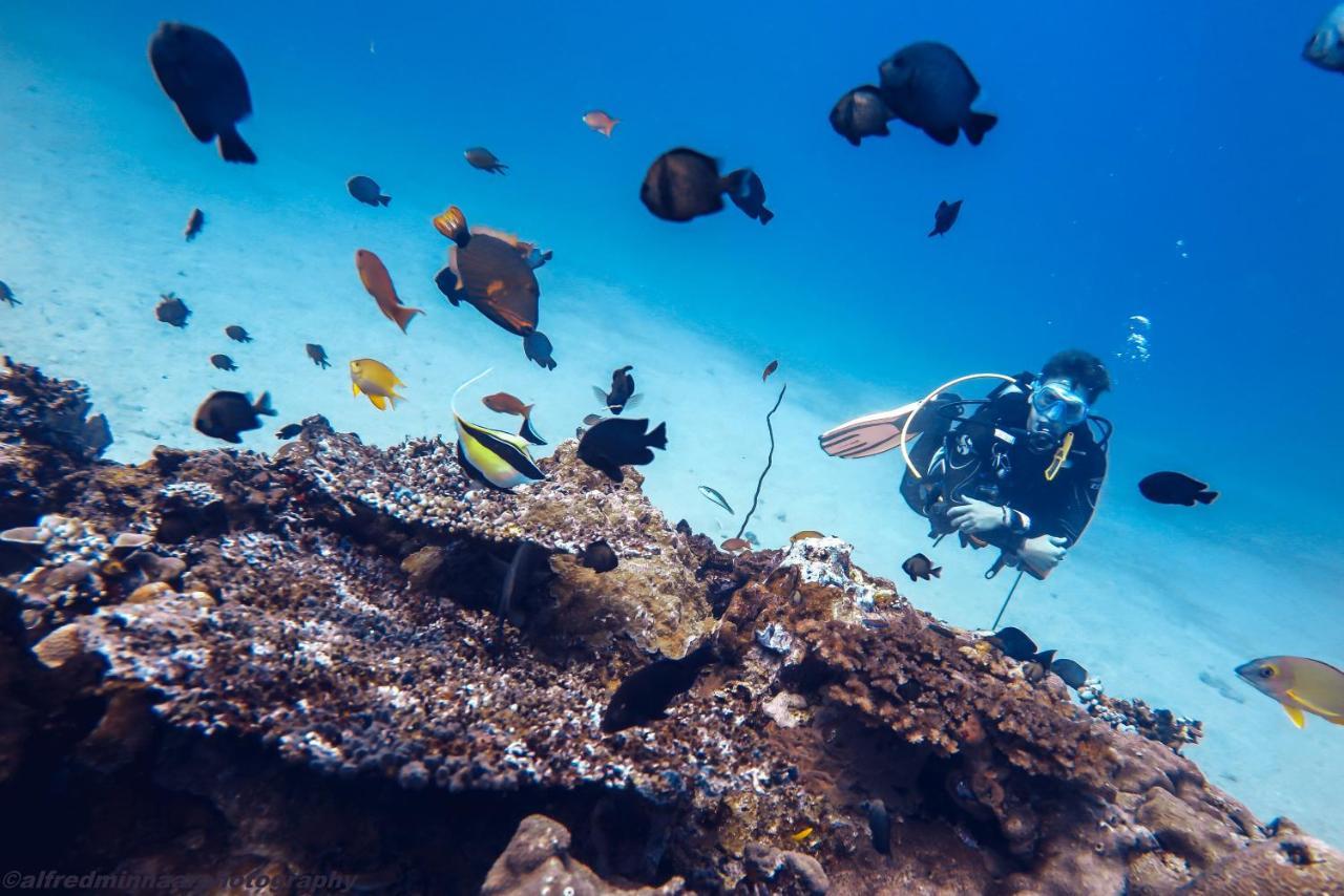Manta Dive Gili Trawangan Resort Екстериор снимка